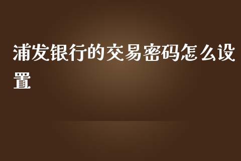 浦发银行的交易密码怎么设置_https://m.ycdhulan.com_股市在线_第1张