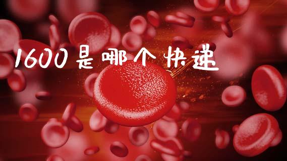 1600是哪个快递_https://m.ycdhulan.com_股市在线_第1张