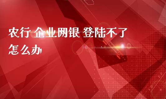 农行 企业网银 登陆不了怎么办_https://m.ycdhulan.com_理财产品_第1张