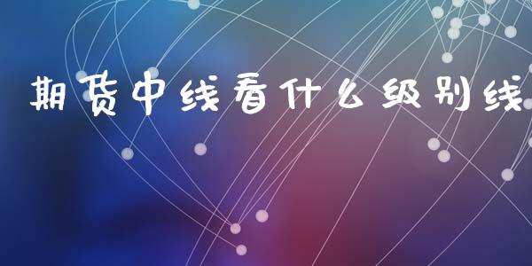 期货中线看什么级别线_https://m.ycdhulan.com_财经要闻_第1张