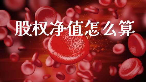 股权净值怎么算_https://m.ycdhulan.com_国际金融_第1张