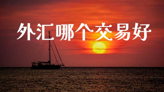 外汇哪个交易好_https://m.ycdhulan.com_期货交易_第1张