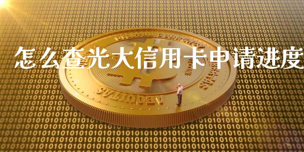 怎么查光大信用卡申请进度_https://m.ycdhulan.com_证券新闻_第1张
