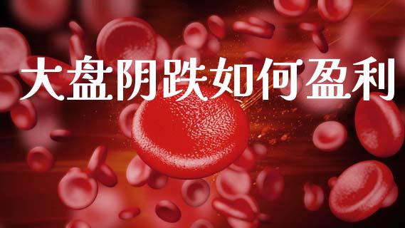大盘阴跌如何盈利_https://m.ycdhulan.com_股市在线_第1张
