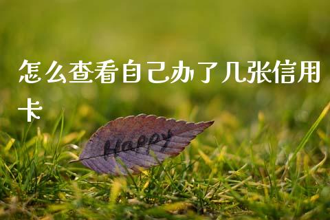 怎么查看自己办了几张信用卡_https://m.ycdhulan.com_财经要闻_第1张