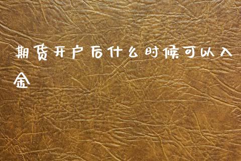 期货开户后什么时候可以入金_https://m.ycdhulan.com_国际金融_第1张
