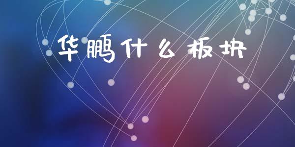 华鹏什么板块_https://m.ycdhulan.com_股市在线_第1张