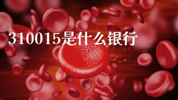 310015是什么银行_https://m.ycdhulan.com_财经要闻_第1张