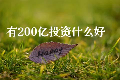 有200亿投资什么好_https://m.ycdhulan.com_国际金融_第1张