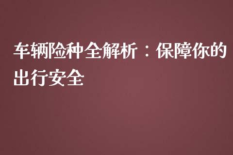 车辆险种全解析：保障你的出行安全_https://m.ycdhulan.com_理财产品_第1张