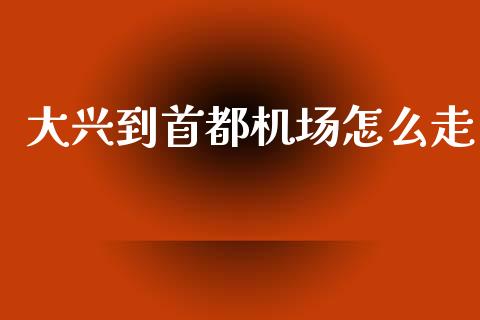 大兴到首都机场怎么走_https://m.ycdhulan.com_财经要闻_第1张