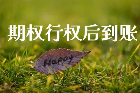 期权行权后到账_https://m.ycdhulan.com_国际金融_第1张