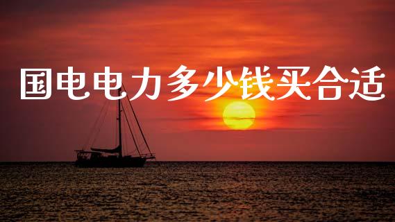 国电电力多少钱买合适_https://m.ycdhulan.com_财经要闻_第1张