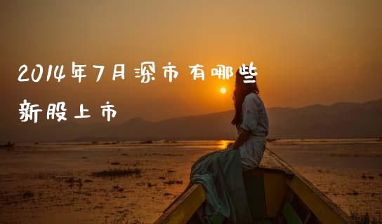 2014年7月深市有哪些新股上市_https://m.ycdhulan.com_财经要闻_第1张