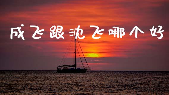 成飞跟沈飞哪个好_https://m.ycdhulan.com_股市在线_第1张