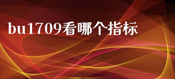 bu1709看哪个指标_https://m.ycdhulan.com_期货交易_第1张