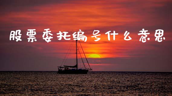 股票委托编号什么意思_https://m.ycdhulan.com_股市在线_第1张