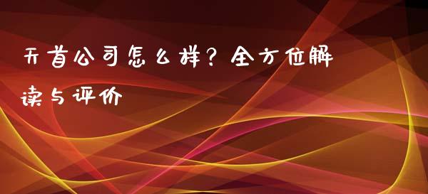 天首公司怎么样？全方位解读与评价_https://m.ycdhulan.com_国际金融_第1张