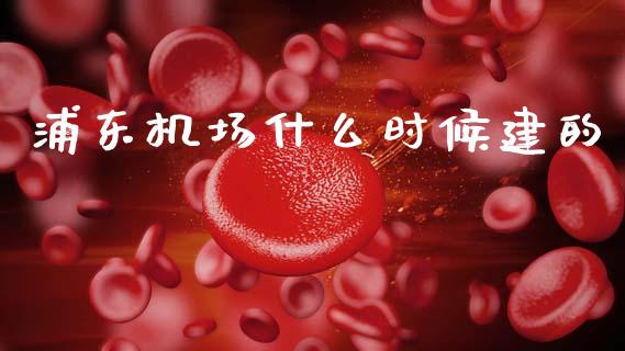 浦东机场什么时候建的_https://m.ycdhulan.com_财经要闻_第1张