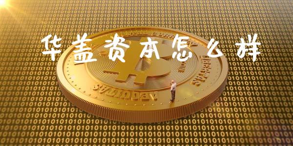 华盖资本怎么样_https://m.ycdhulan.com_股市在线_第1张