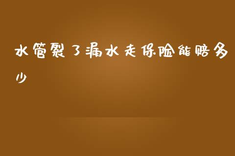 水管裂了漏水走保险能赔多少_https://m.ycdhulan.com_财经要闻_第1张