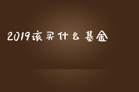 2019该买什么基金_https://m.ycdhulan.com_财经要闻_第1张