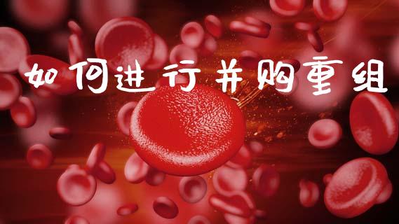 如何进行并购重组_https://m.ycdhulan.com_期货交易_第1张