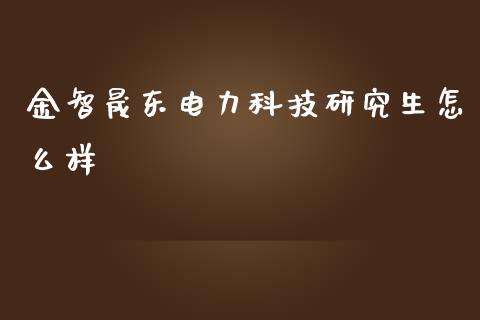 金智晟东电力科技研究生怎么样_https://m.ycdhulan.com_财经要闻_第1张