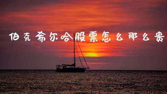 伯克希尔哈股票怎么那么贵_https://m.ycdhulan.com_国际金融_第1张