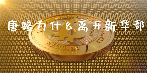 唐骏为什么离开新华都_https://m.ycdhulan.com_国际金融_第1张