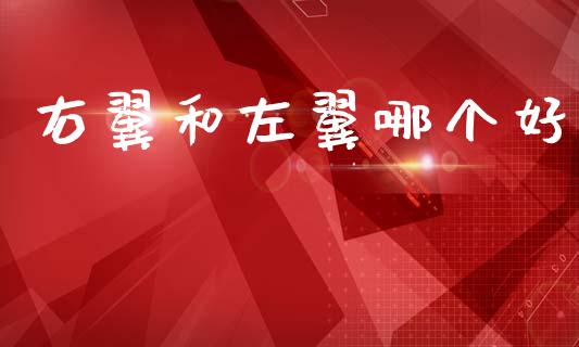 右翼和左翼哪个好_https://m.ycdhulan.com_股市在线_第1张