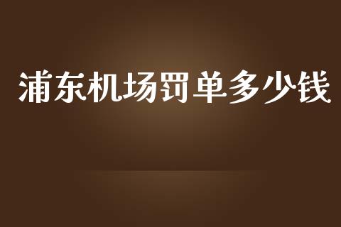 浦东机场罚单多少钱_https://m.ycdhulan.com_股市在线_第1张