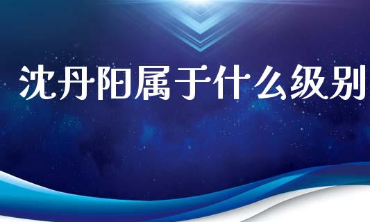 沈丹阳属于什么级别_https://m.ycdhulan.com_国际金融_第1张