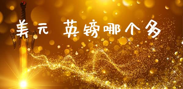 美元 英镑哪个多_https://m.ycdhulan.com_国际金融_第1张
