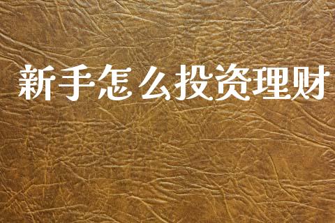 新手怎么投资理财_https://m.ycdhulan.com_股市在线_第1张