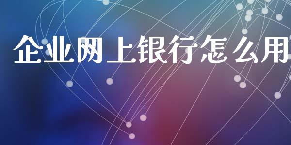 企业网上银行怎么用_https://m.ycdhulan.com_国际金融_第1张