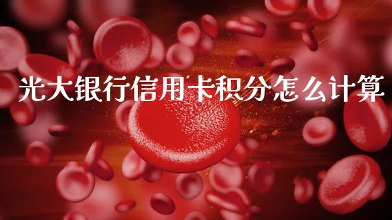 光大银行信用卡积分怎么计算_https://m.ycdhulan.com_理财产品_第1张