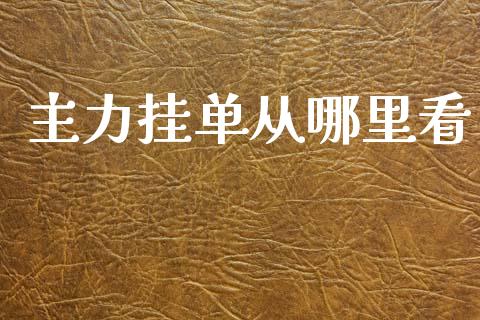 主力挂单从哪里看_https://m.ycdhulan.com_国际金融_第1张