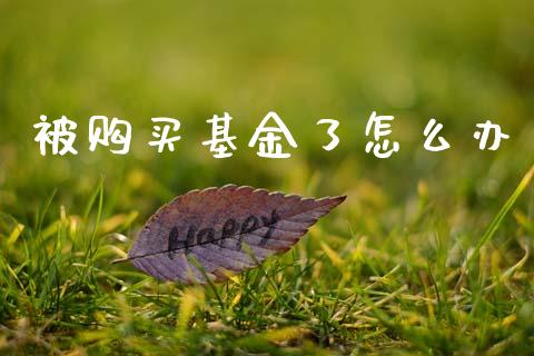 被购买基金了怎么办_https://m.ycdhulan.com_财经要闻_第1张