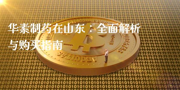 华素制药在山东：全面解析与购买指南_https://m.ycdhulan.com_理财产品_第1张