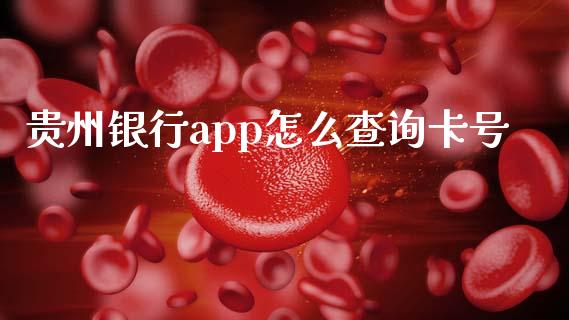 贵州银行app怎么查询卡号_https://m.ycdhulan.com_期货交易_第1张