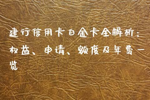 建行信用卡白金卡全解析：权益、申请、额度及年费一览_https://m.ycdhulan.com_财经要闻_第1张