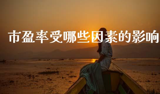 市盈率受哪些因素的影响_https://m.ycdhulan.com_理财产品_第1张