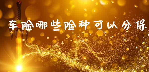 车险哪些险种可以分保_https://m.ycdhulan.com_国际金融_第1张