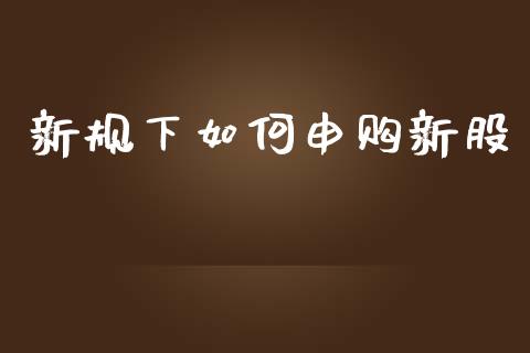 新规下如何申购新股_https://m.ycdhulan.com_股市在线_第1张