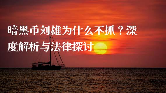暗黑币刘雄为什么不抓？深度解析与法律探讨_https://m.ycdhulan.com_财经要闻_第1张