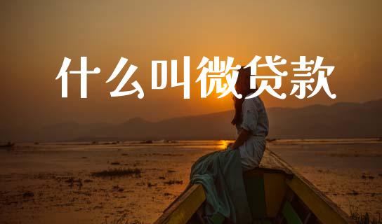 什么叫微贷款_https://m.ycdhulan.com_国际金融_第1张