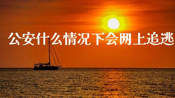 公安什么情况下会网上追逃_https://m.ycdhulan.com_国际金融_第1张