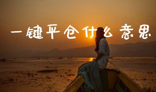 一键平仓什么意思_https://m.ycdhulan.com_期货交易_第1张