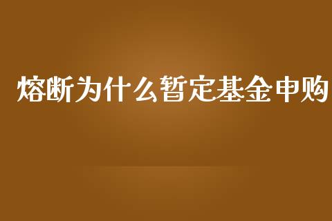 熔断为什么暂定基金申购_https://m.ycdhulan.com_股市在线_第1张